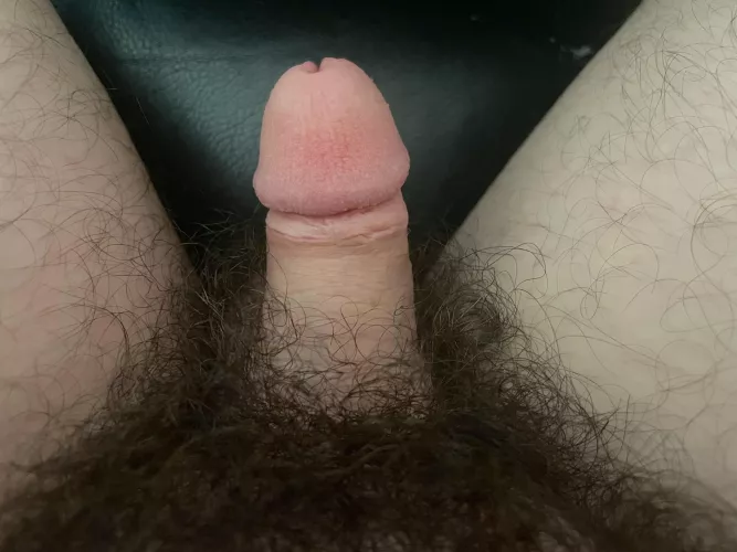 Soft dick need more love!