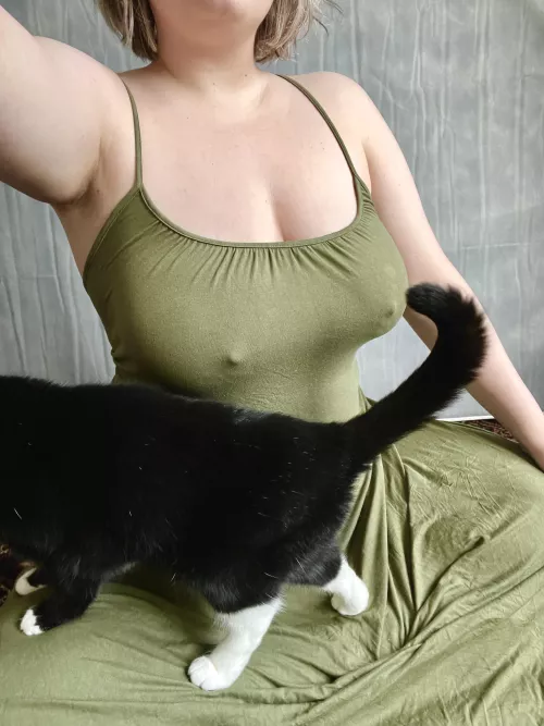 Someone likes my lap better