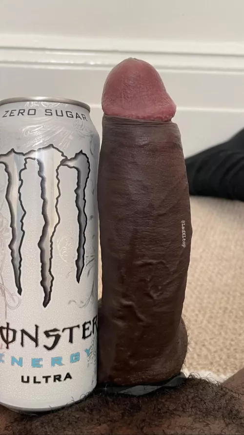 Who wants to stroke it?