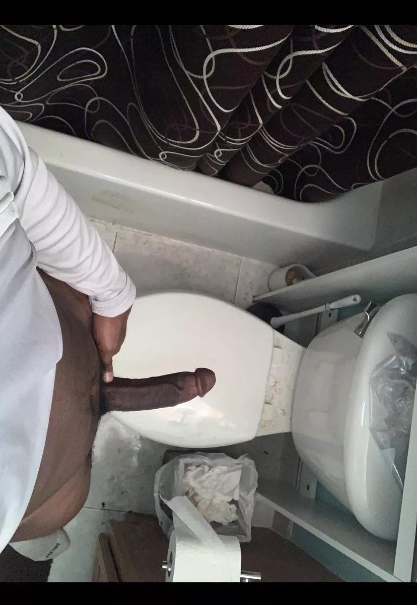 You like my sexy cut cock?