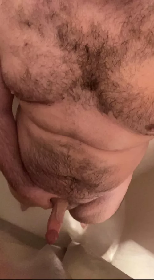 Bear… wet and hard.