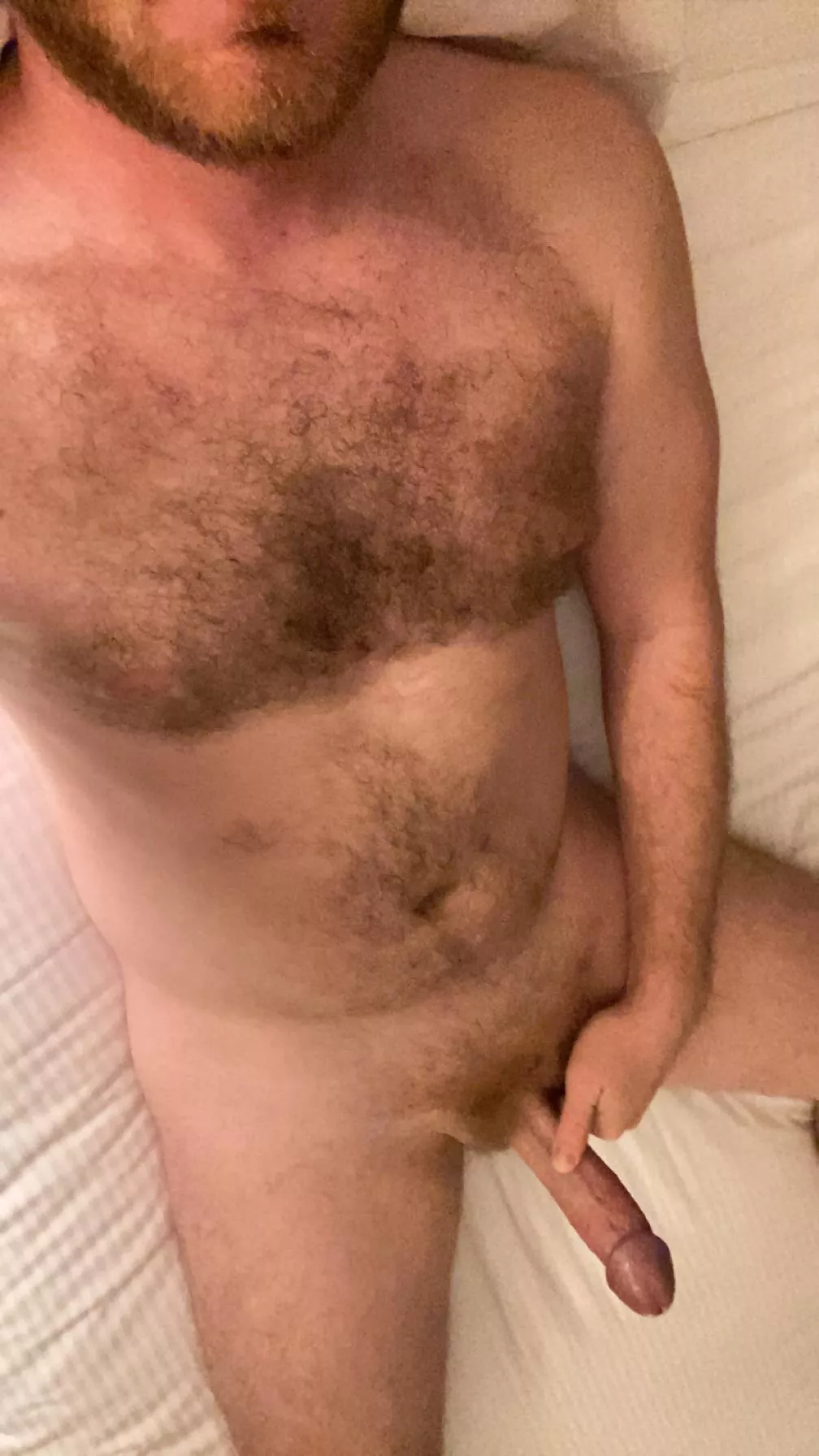 Bro I’m so horny. Can I creampie your hole before bed? Hmu (31)