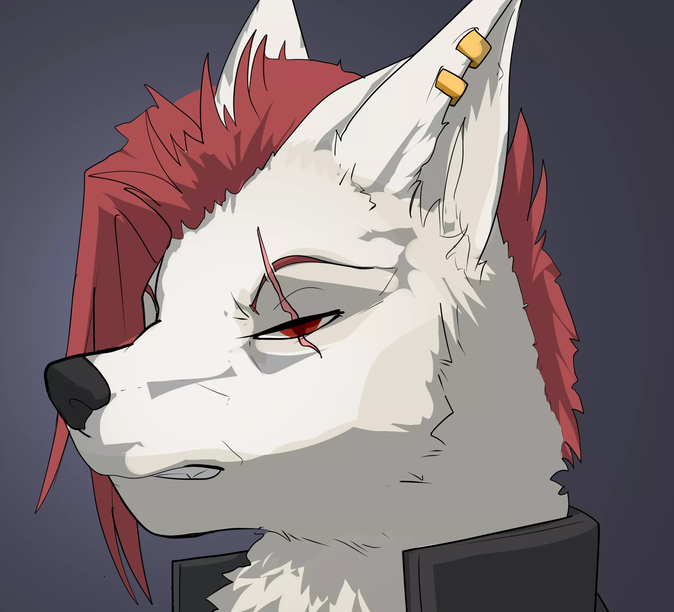 R_E_D by me (catcake5 on FA)