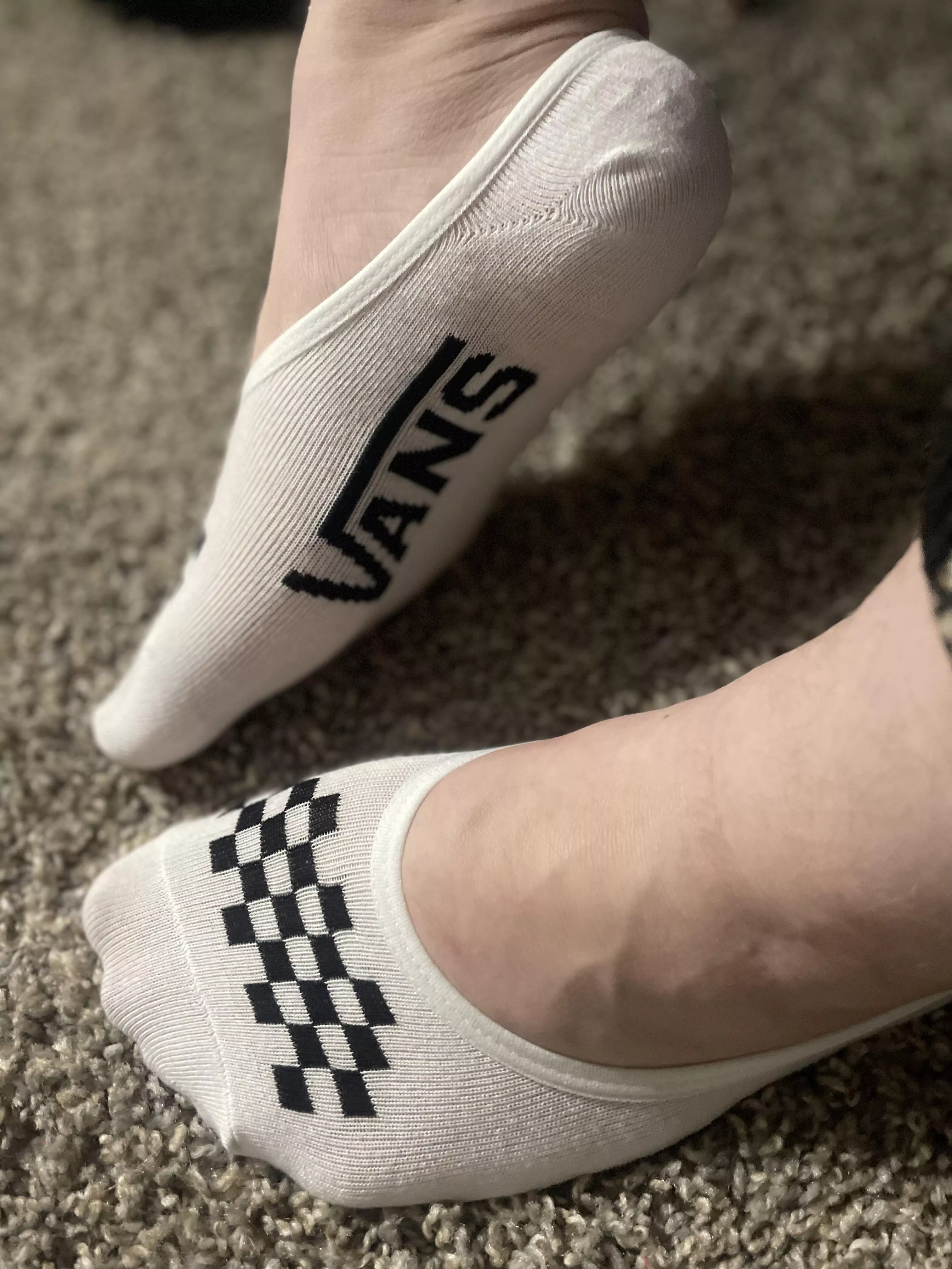 white vans no-shows [f]