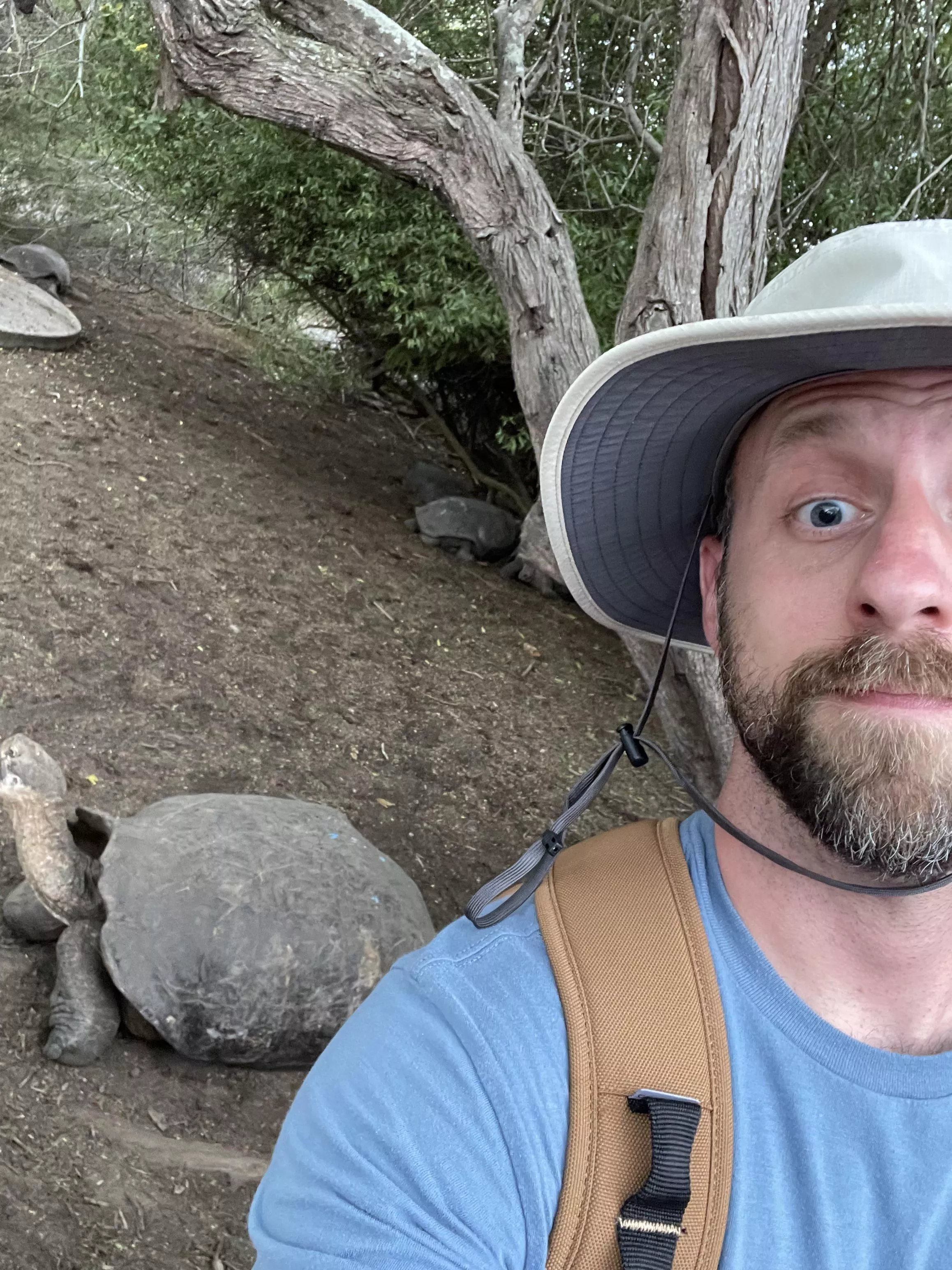 Wild Thornberry Vibes