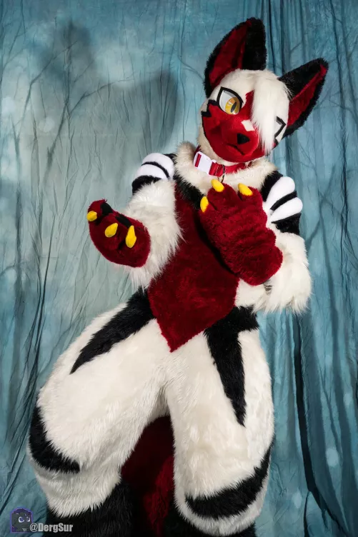 Won't you come with me?