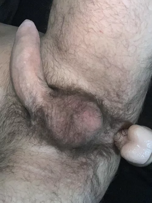 Balls deep in my arse