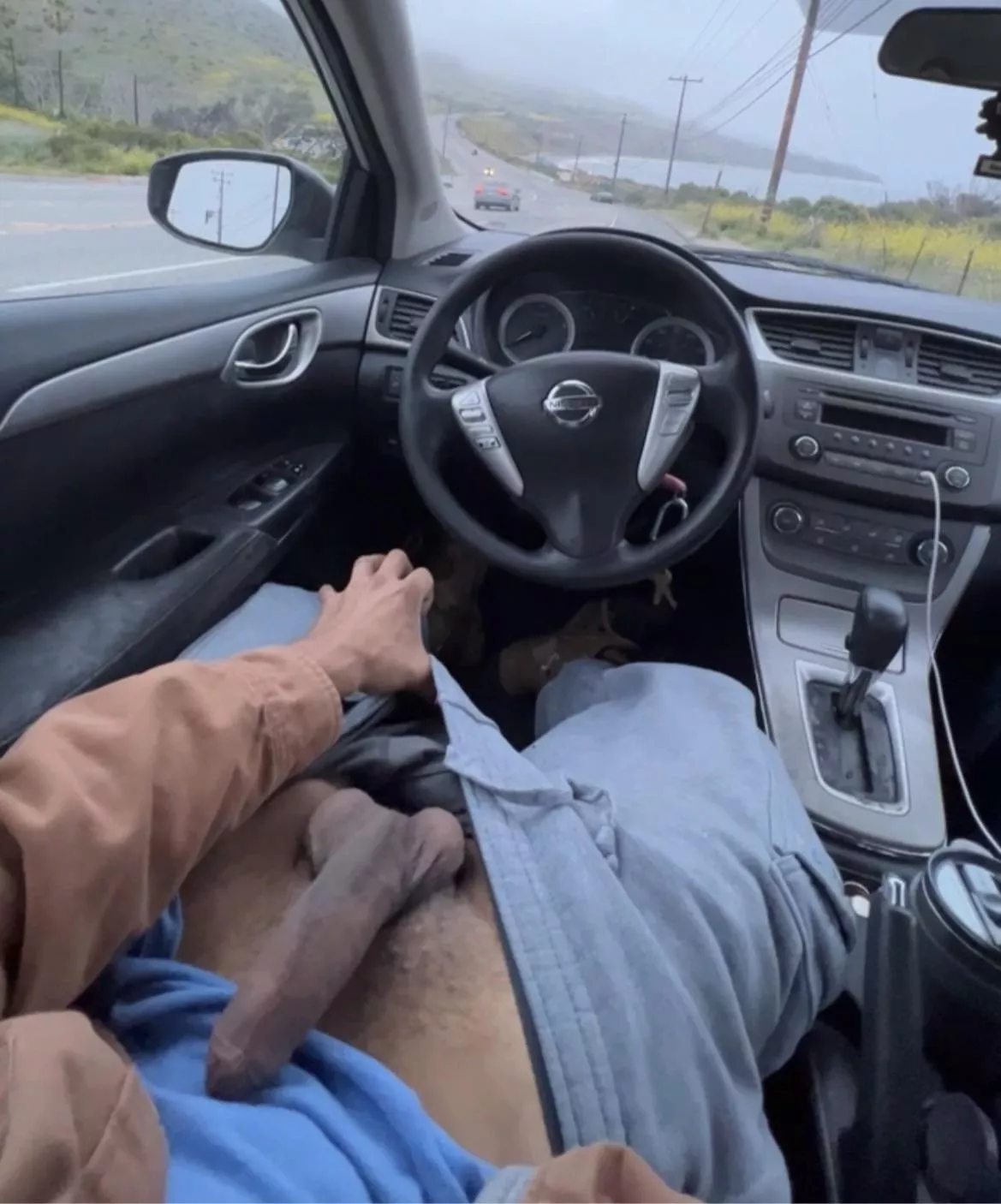 Be my hiking buddy, bro (33)