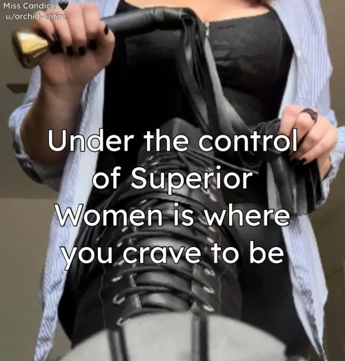 Being controlled by a Domineering Superior is your dream. Serving Powerful Women is your sex life.