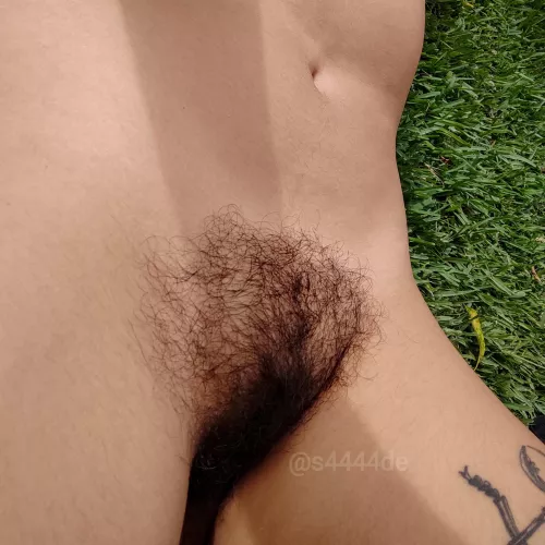 do you like the untamed look on my bush?