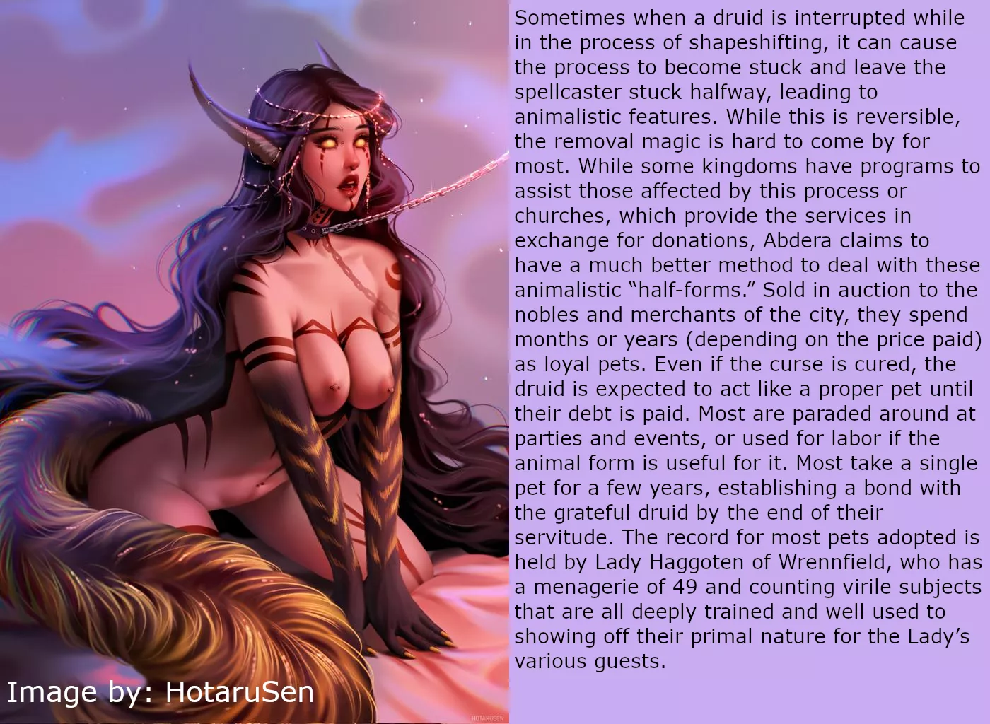 Fantasy 05: Helpful Shapeshifting Mishap Program [Image by: HotaruSen] [Female] [Animal Girl] [Elf] [Pet Play] [Implied Sex] [Indentured Servitude]