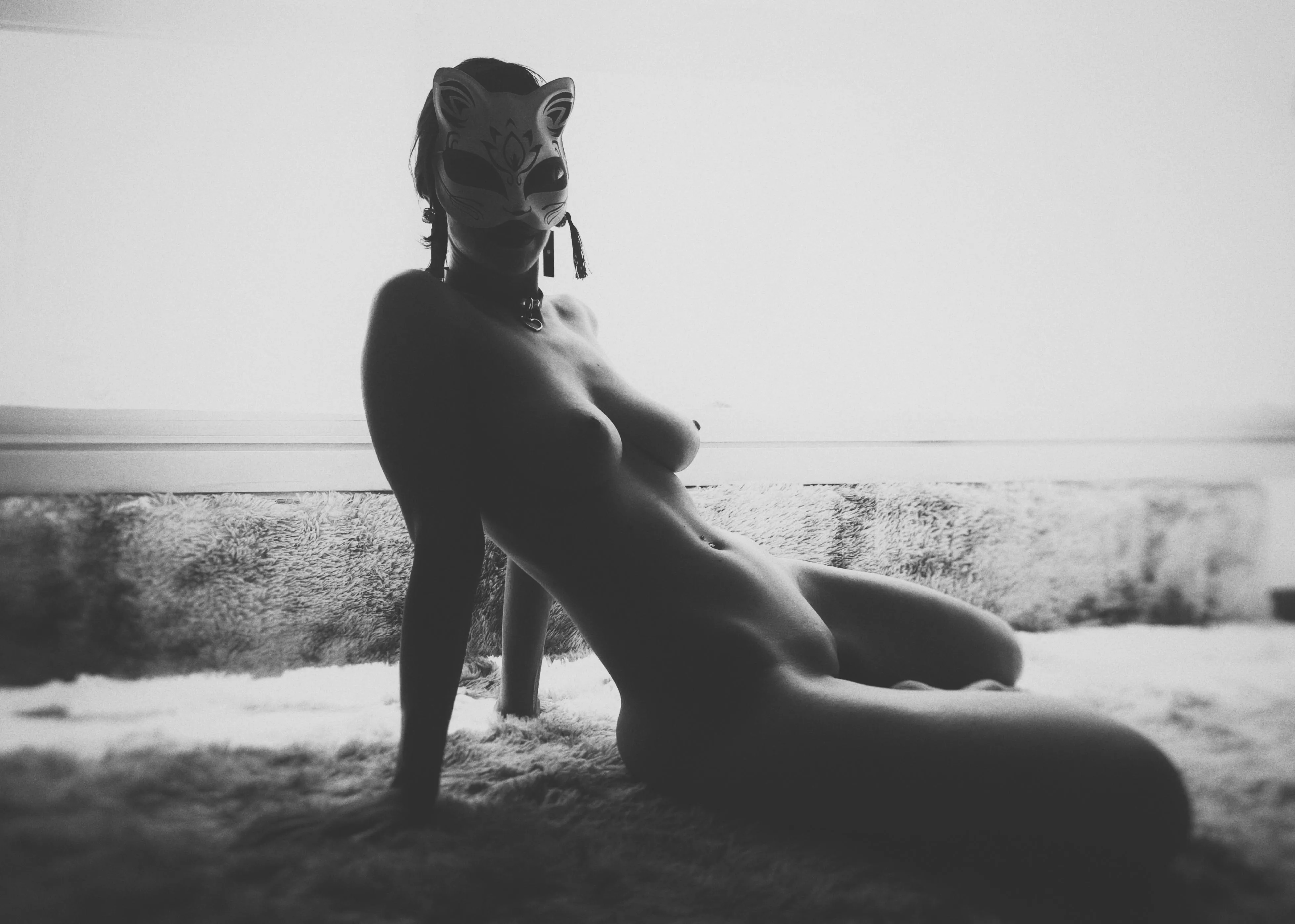 Furry fields and what to find on them.