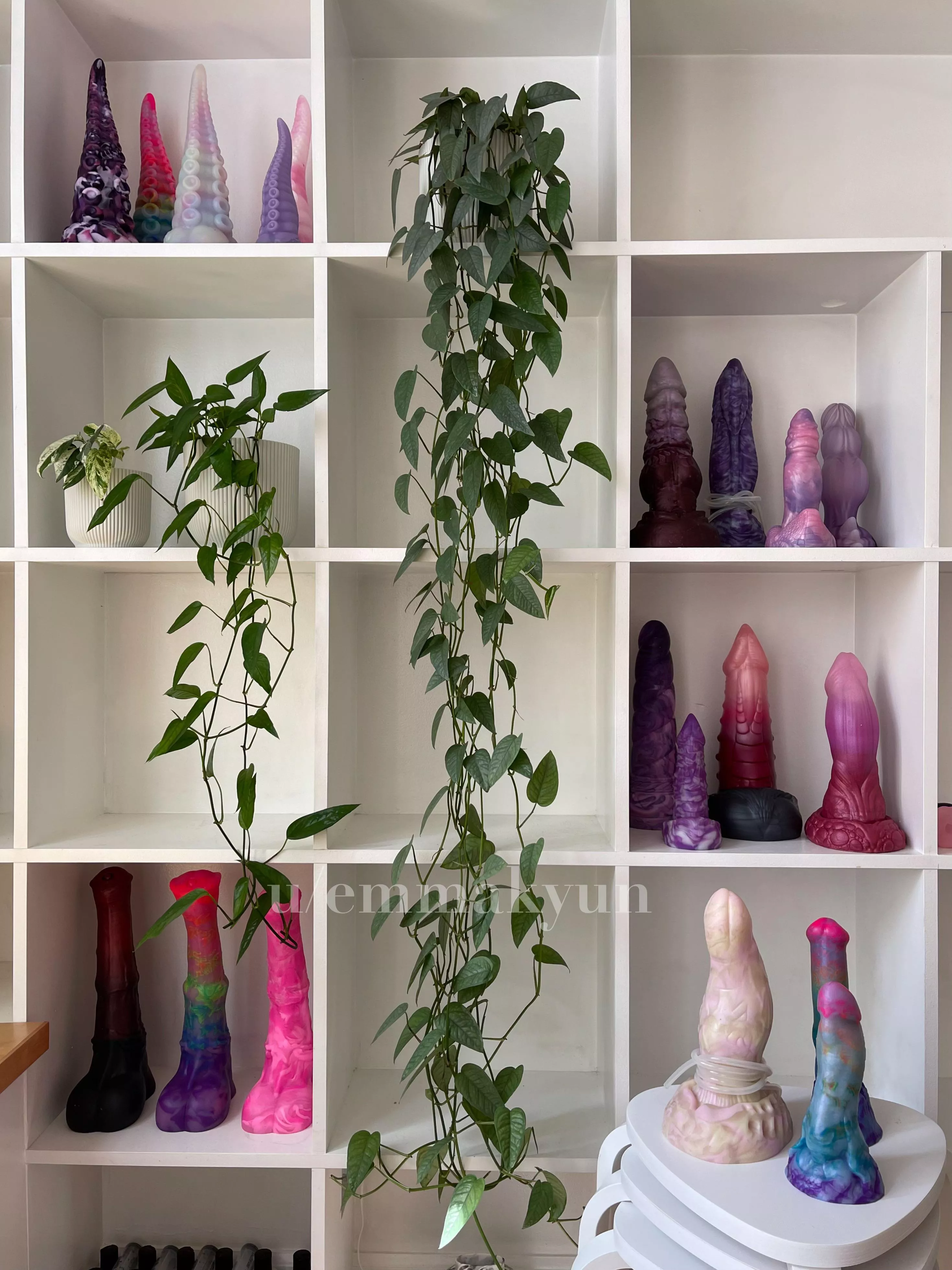 i rearranged my ✨special shelf✨ yes thats 5 ika models shhh