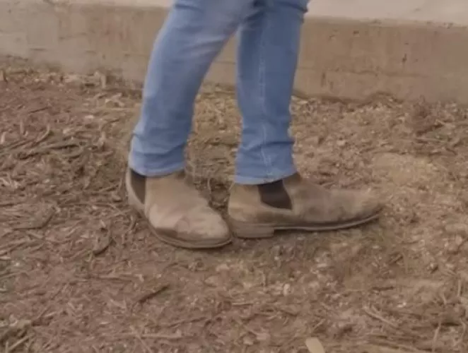 ID these Chelsea boots?