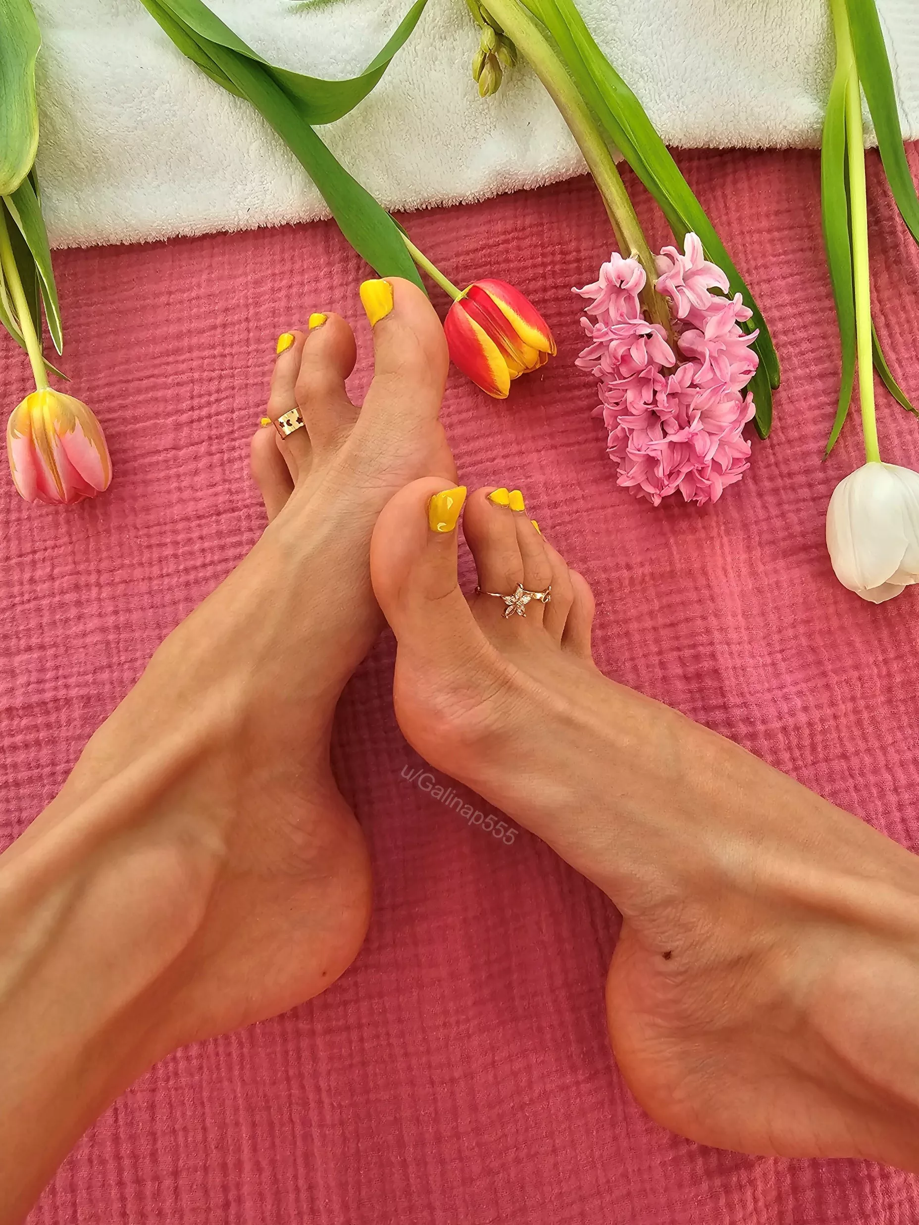 If you had to pick one: high arches or long toes?