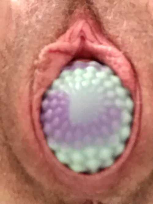 incubating my first ever egg 😳