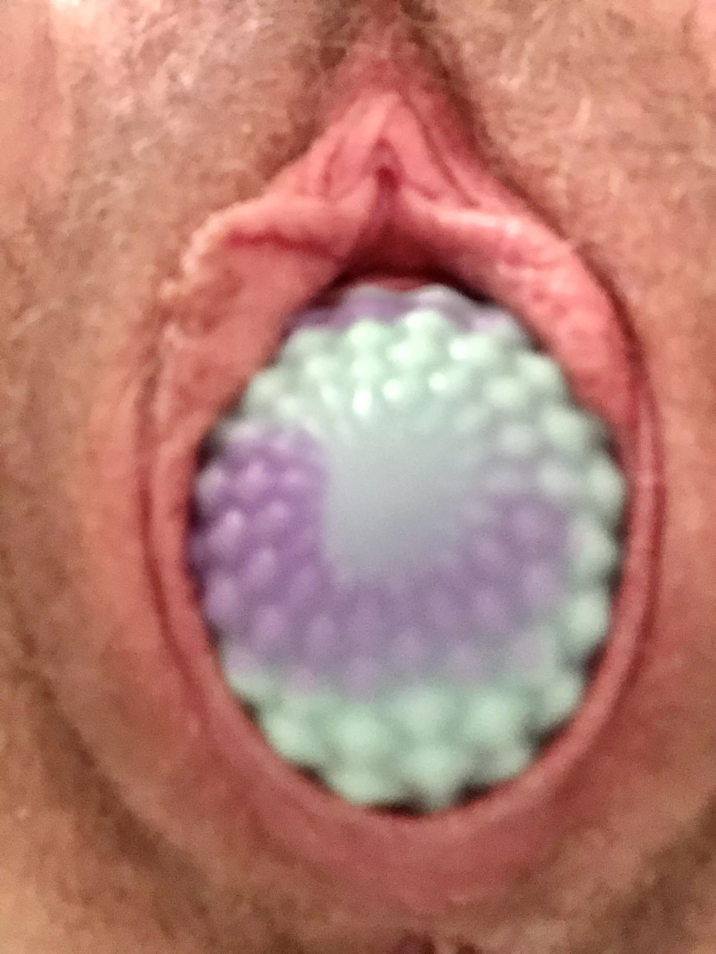 incubating my first ever egg 😳