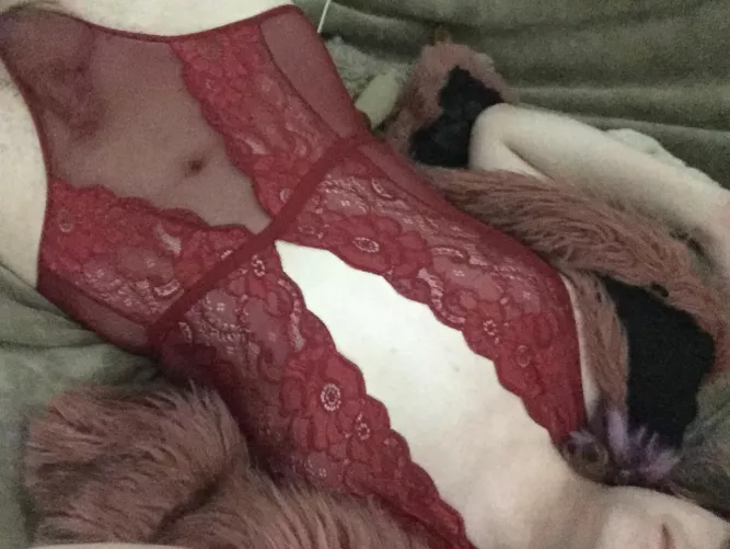 Like my new lingerie?