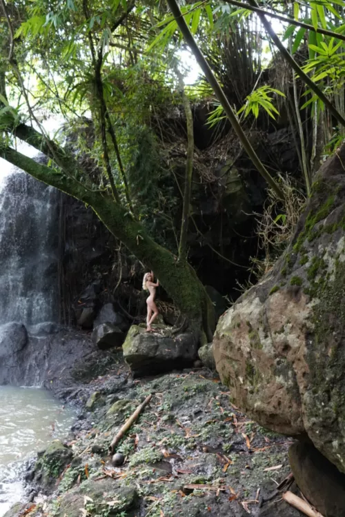 Lost in the vastness of the forest