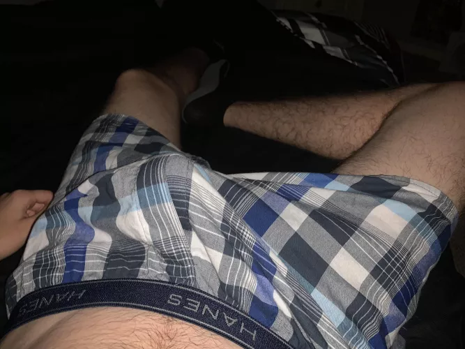 Morning wood making a tent (18)