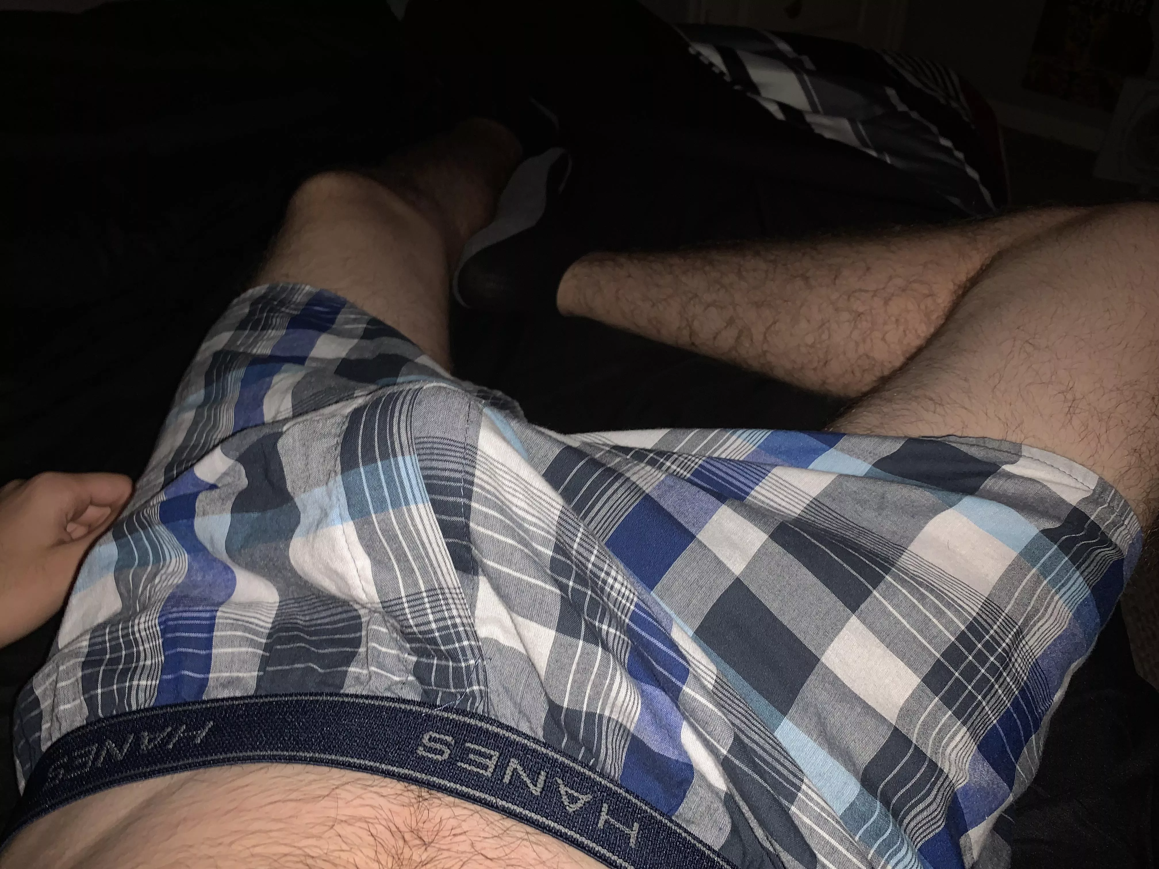 Morning wood making a tent (18)