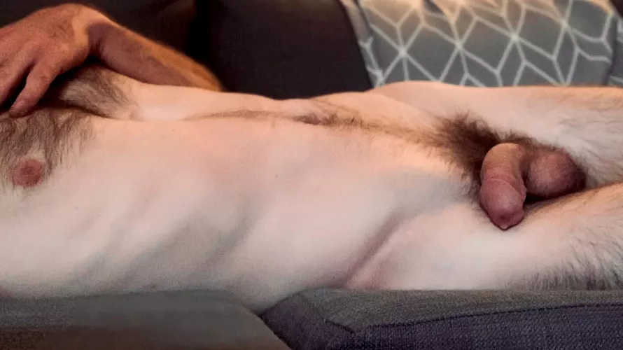 My bush (~6 months ago). What do you think? :)