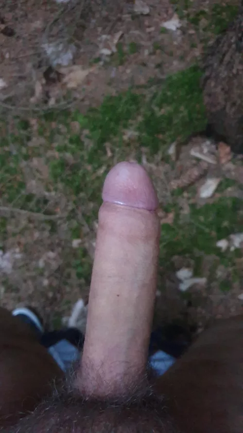 My cock likes it when I drop my pants in the woods.