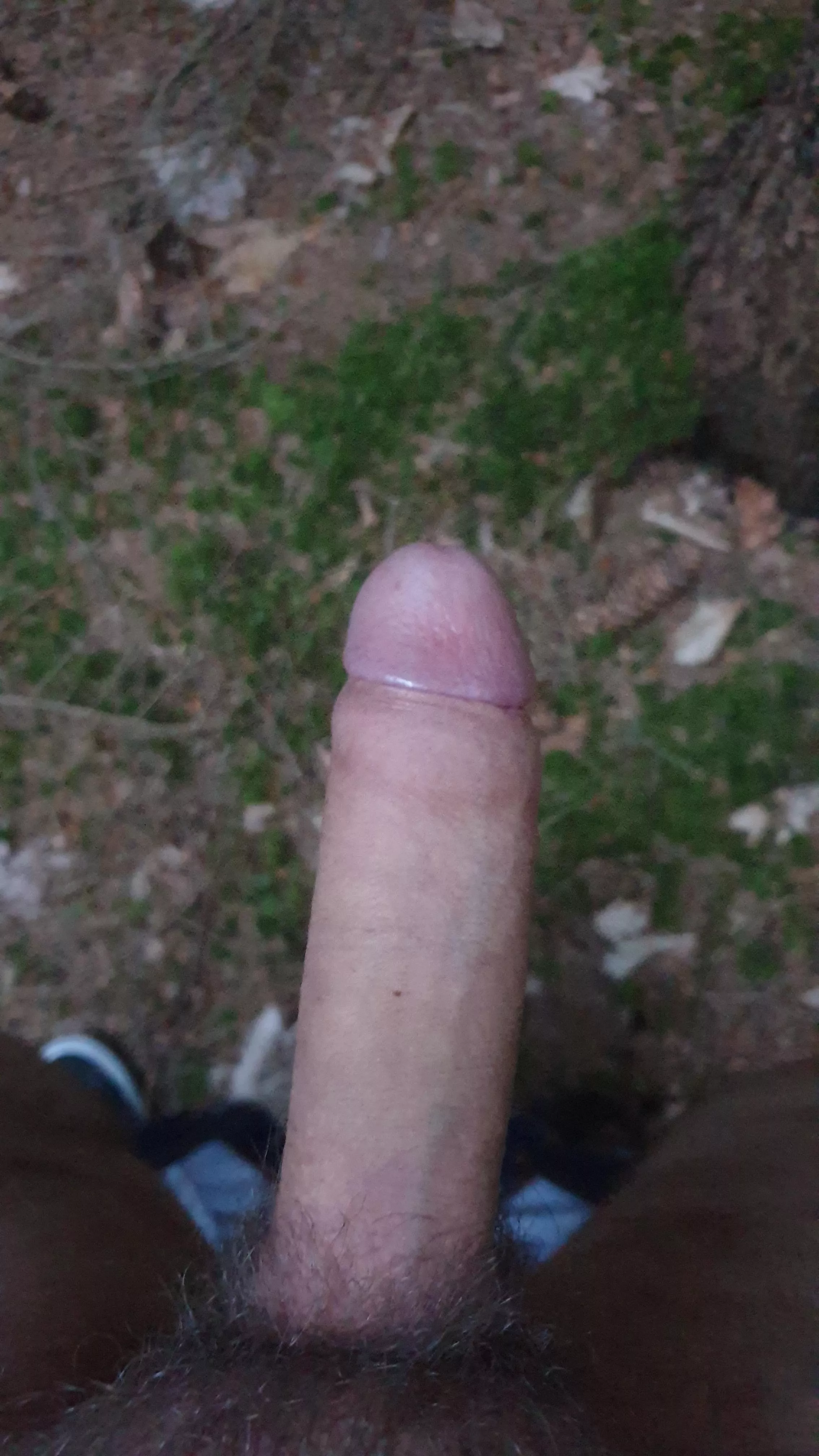 My cock likes it when I drop my pants in the woods.