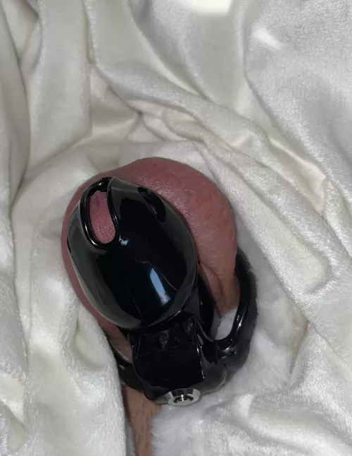 My pretty blue clitty looks amazing draped in white 😇😈