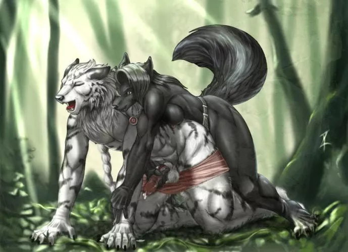 New Alpha of the pack :3 (Zorrore)