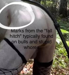 Sissy in the Woods of Boston's South Shore