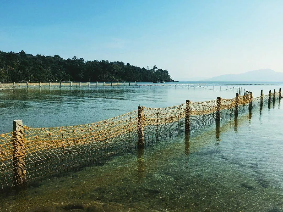 Water’s clear, it’s shallow but it has 🐊.