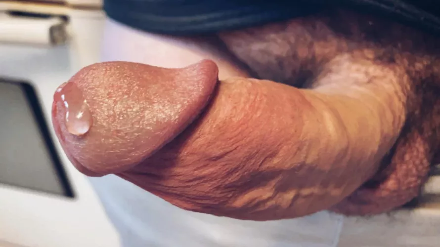 What Should I Bake?!?