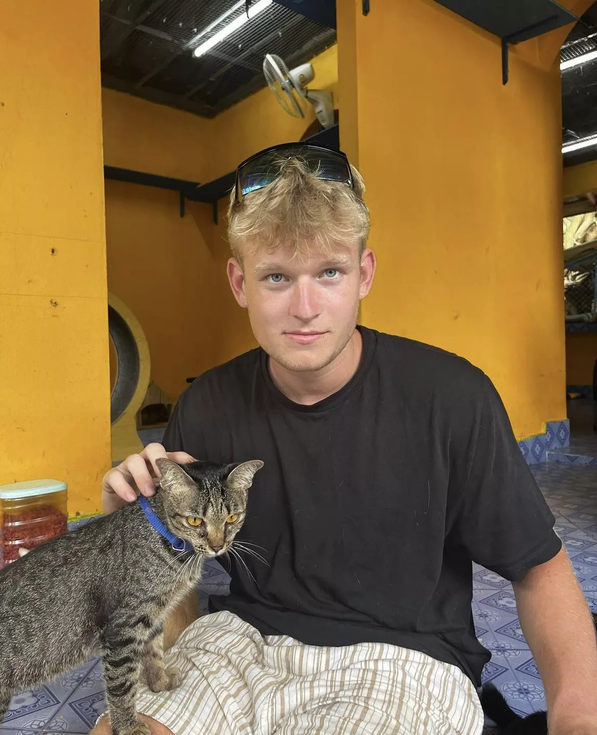 What you guys think?