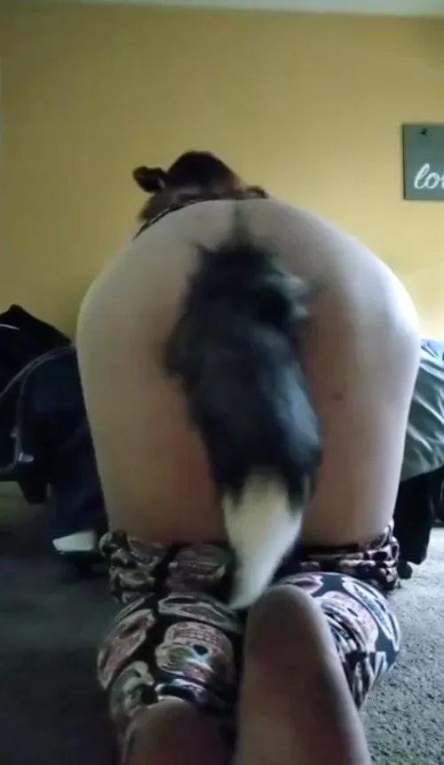 Woof woof 🐶 ultra needy bitch in heat ready to be bred and stuffed in a crate