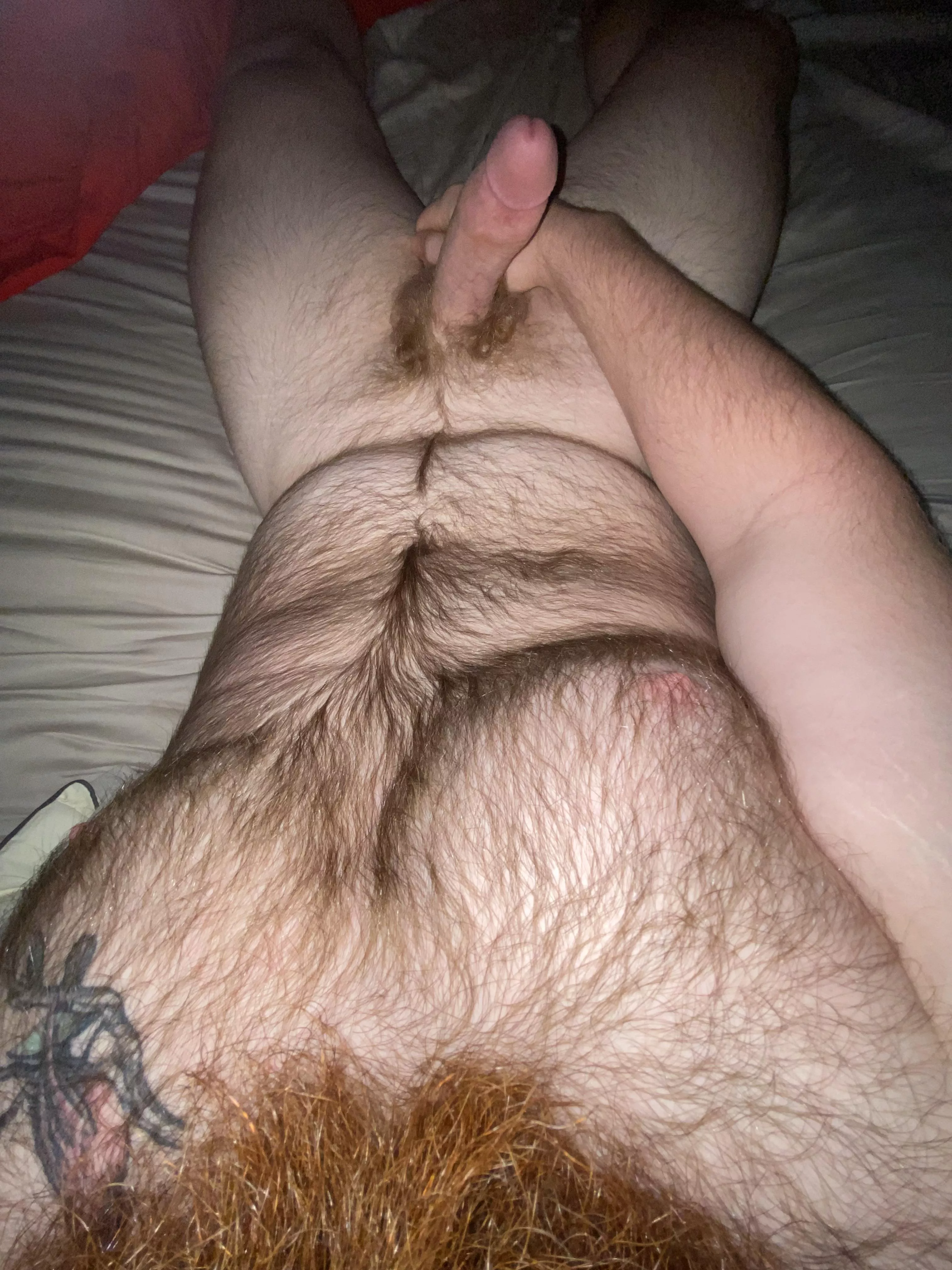 Would you play with me??