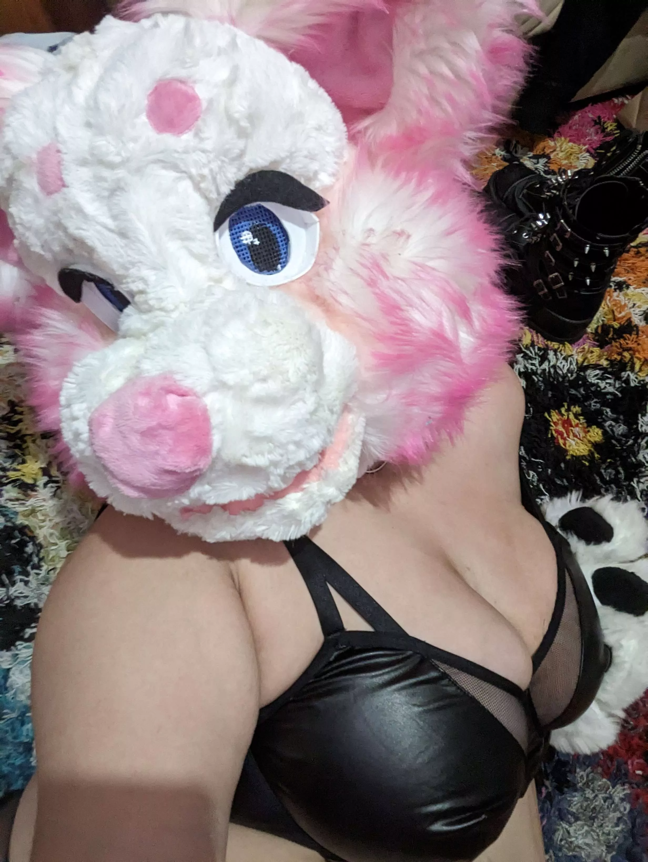 Your local thicc wolf girl 😁