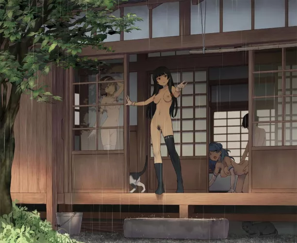 A place to be on a rainy day