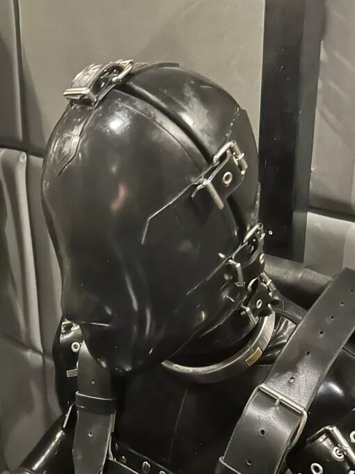 Does anyone have an idea where the mask is form or this image itself? It looks rather enjoyable
