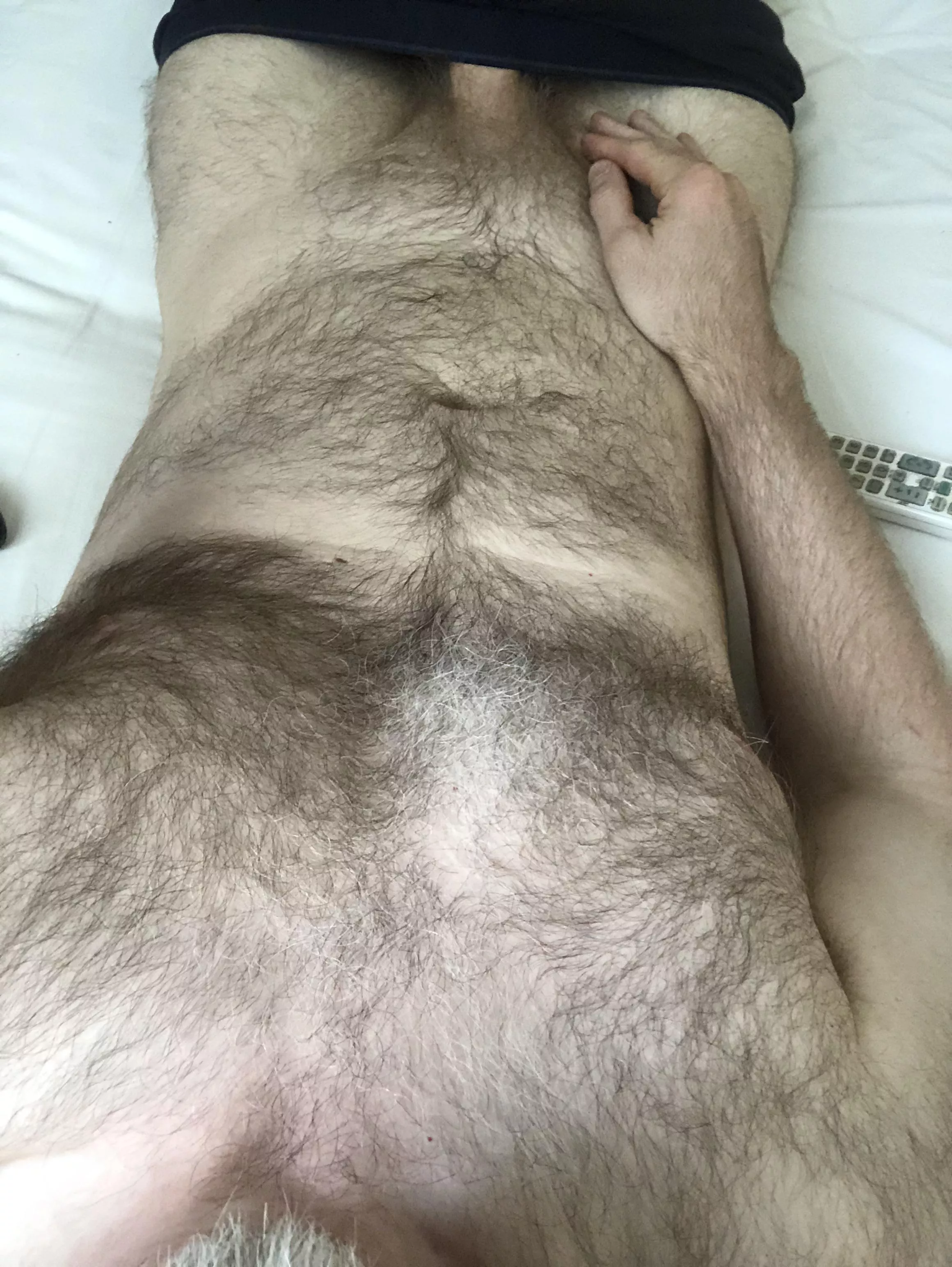 English hairy pillow
