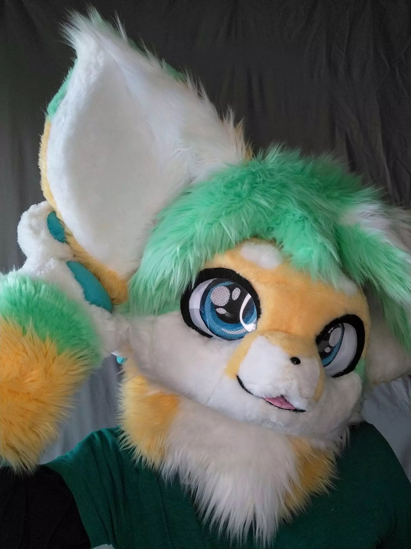 My big ears heard.... Today is Fursuit Friday! (made by me, @puchipuffs on other platforms)