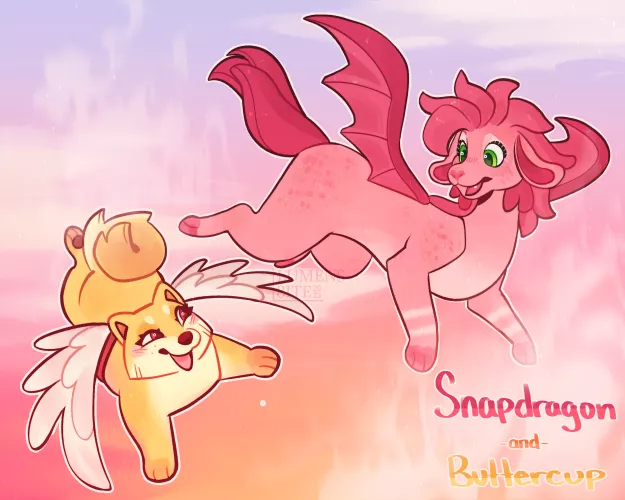 The Adventures of Snapdragon and Buttercup!