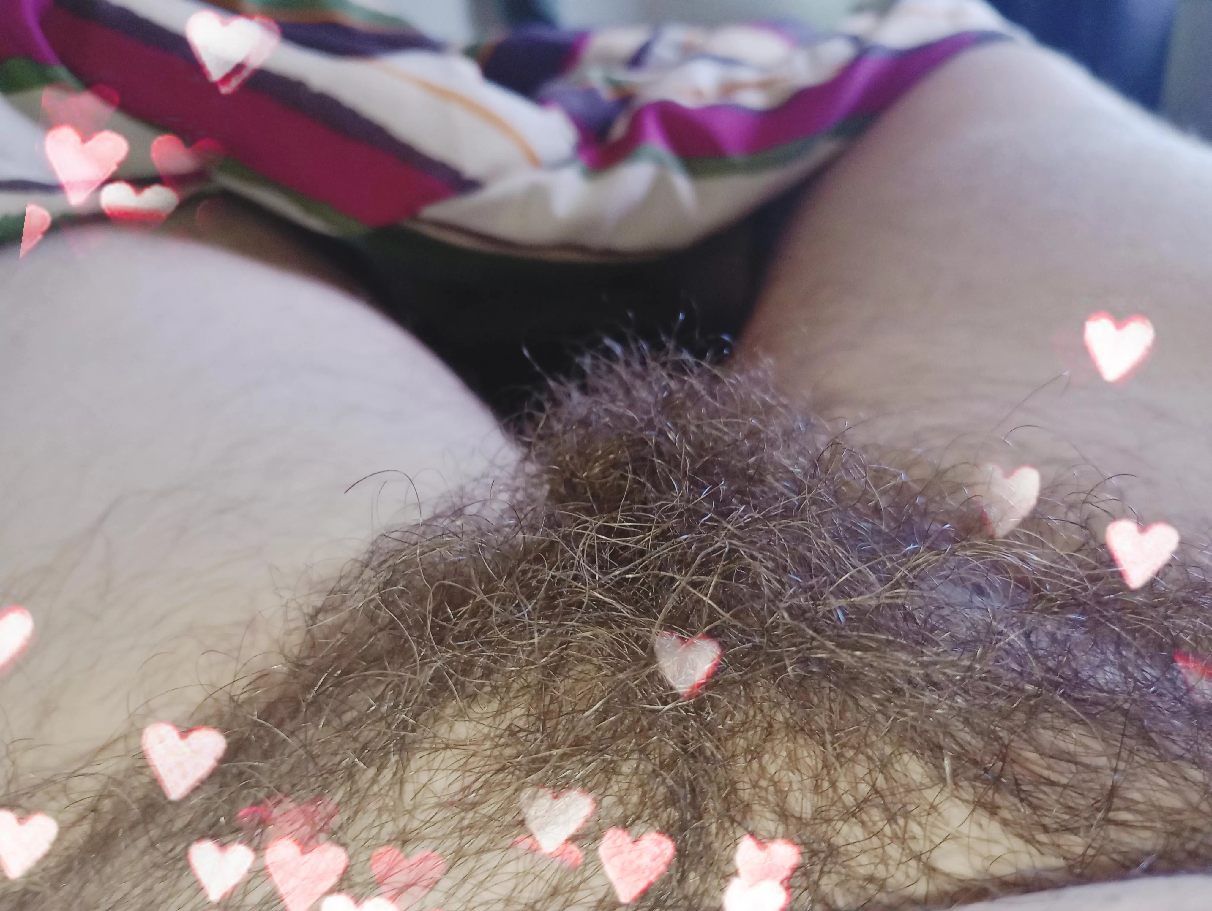 Thinking of cutting off my bush 18F virgin