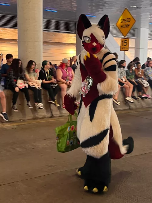 Went shopping got lost