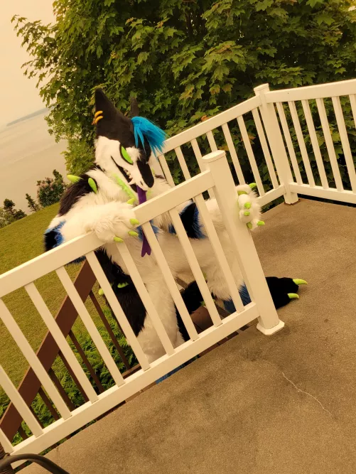 You can't escape me!