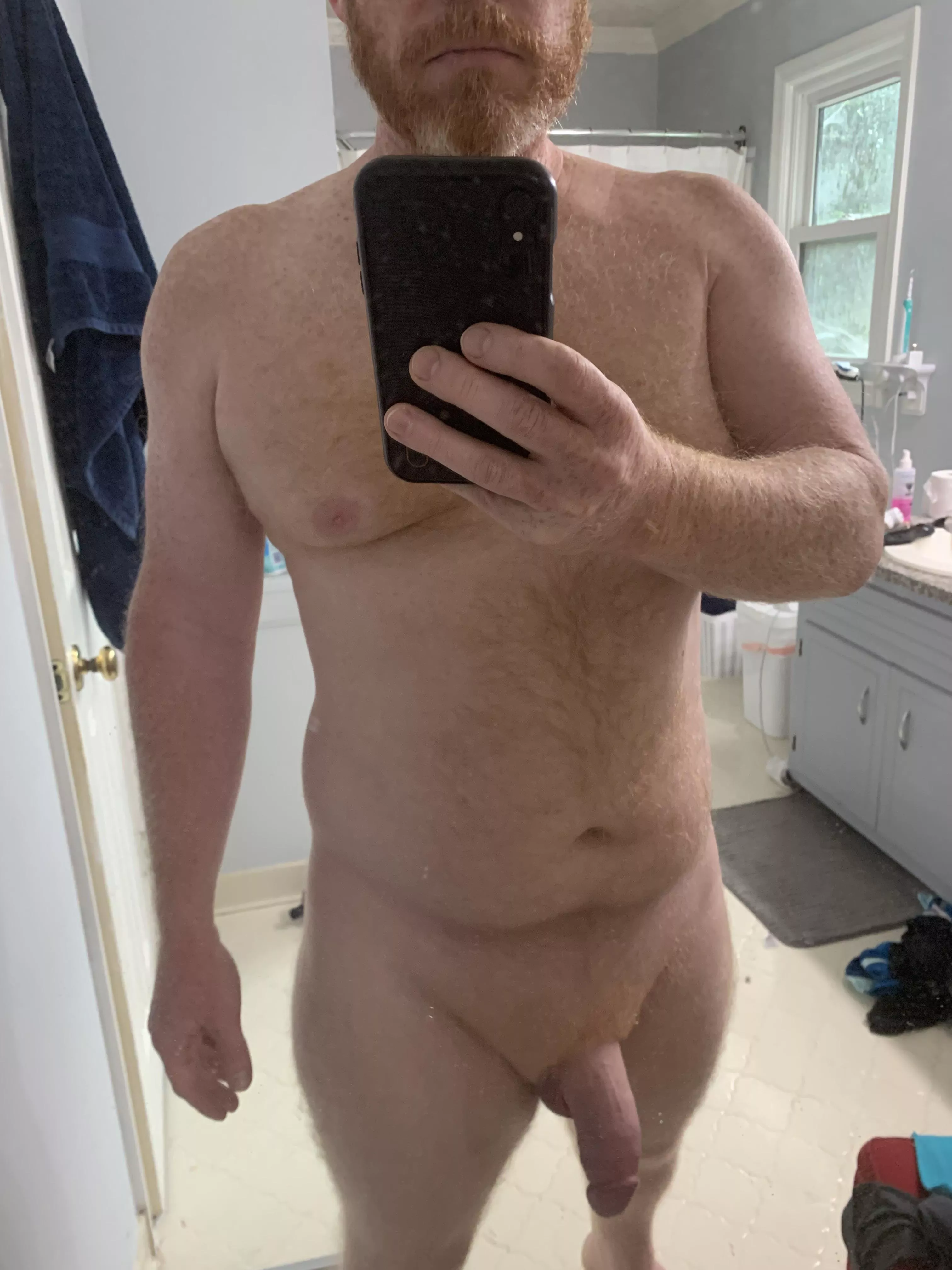 [43] Gingerbeard