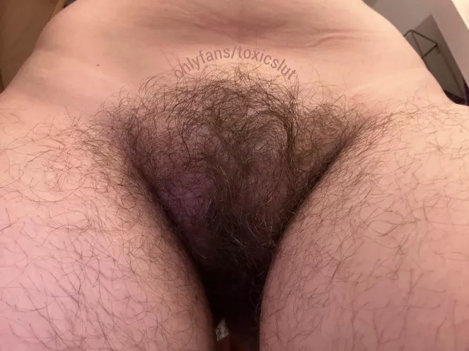 Do you like my wild bush? (: