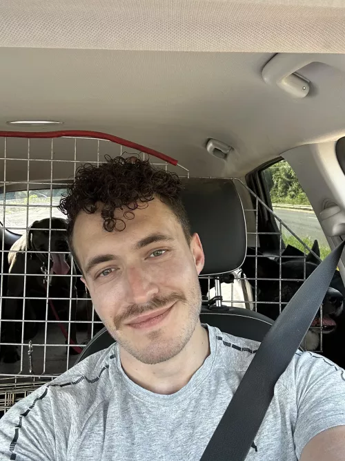 Guess how many dogs are in my car today πΆπΆπΆ?