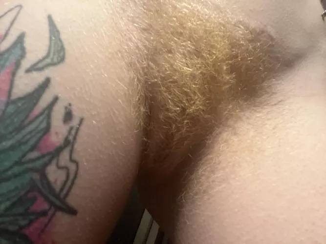 How do you feel about natural gingers