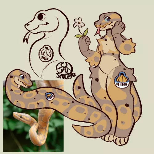 I drew a ball python! Their name is Banana Smoothie :3(OC)